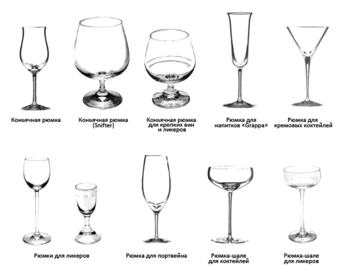 Какие бывают бокалы для шампанского, мартини, вина, коктейлей и прочего алкоголя