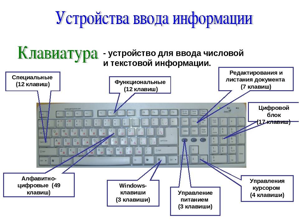 Виды клавиатур: характеристика, типы, какое должно быть расположение букв и цифр