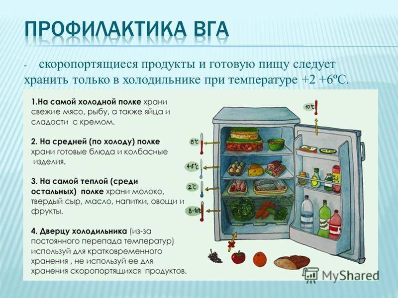 Сколько времени необходимо хранить ярлыки. Хранение пищевых продуктов в холодильнике. Порядок хранения продуктов в холодильнике. Холодильник с продуктами. Правильное хранение в холодильнике.