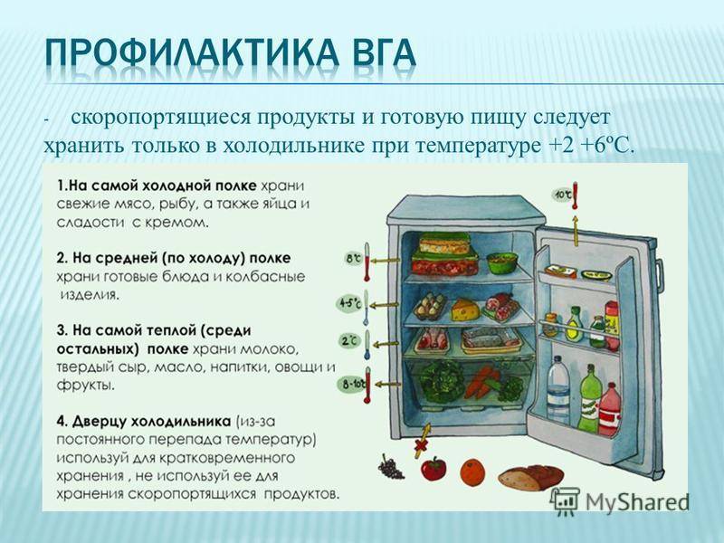 Должен ли холодильник. Правила хранения продуктов в холодильнике. Хранение скоропортящихся продуктов. Схема хранения продуктов в холодильнике. Хранение скоропортящихся продуктов в холодильнике.