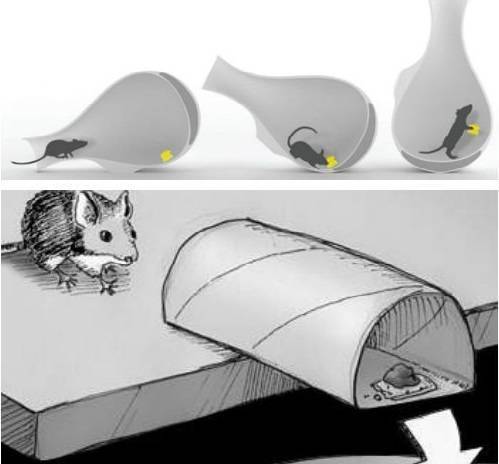 Как избавиться от мышей в квартире раз и навсегда