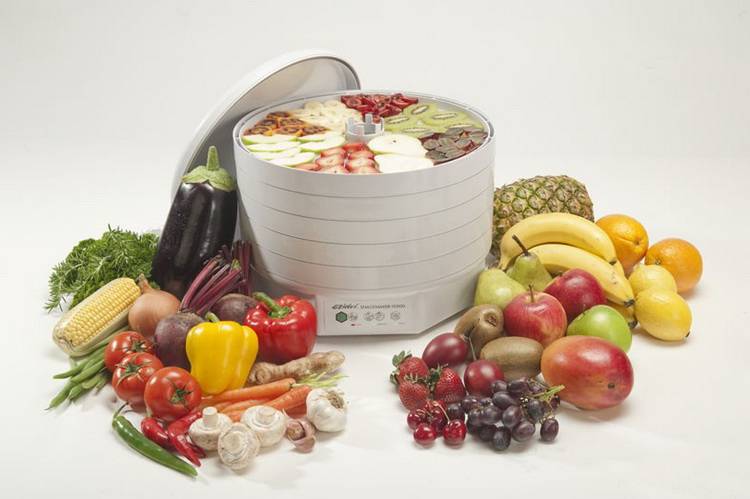 Сушилки для овощей и фруктов: рейтинг лучших 2020-2021 по отзывам покупателей