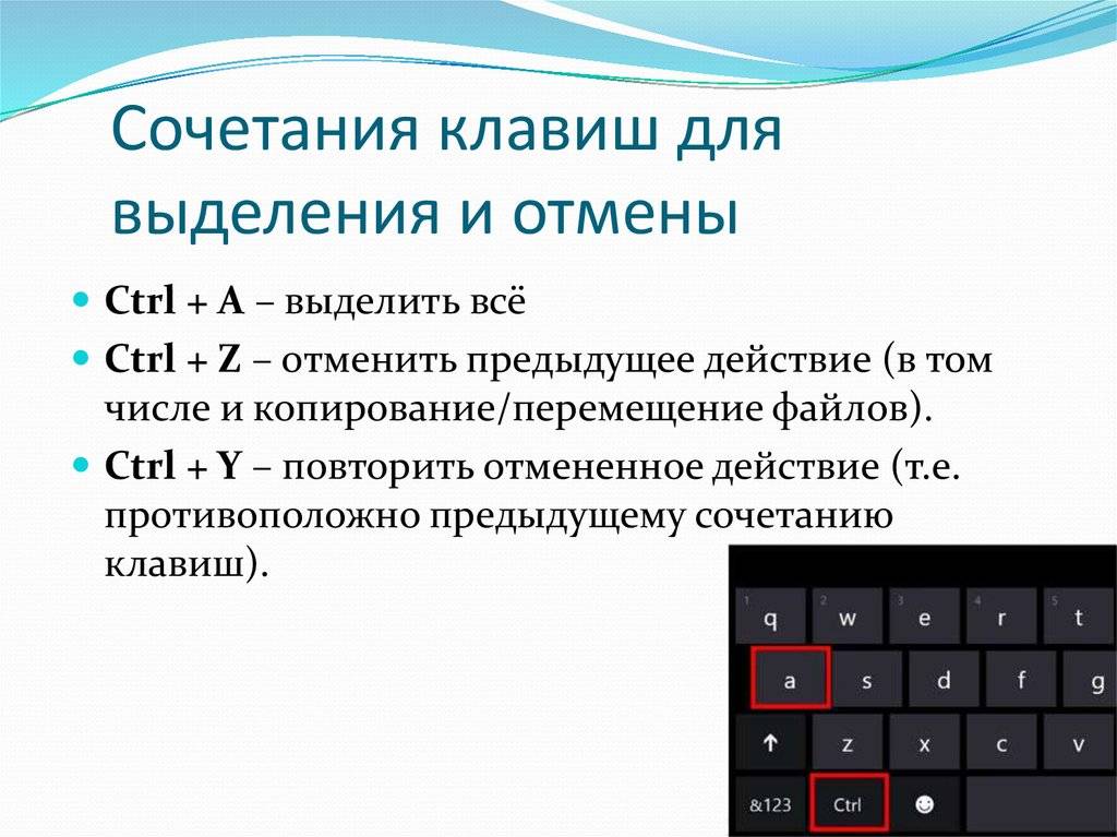 Как выделить все фото на компьютере кнопками на клавиатуре чтобы скопировать