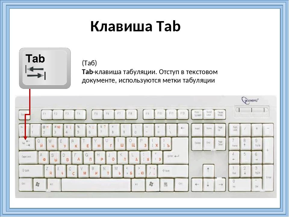 Назначение кнопок на клавиатуре ноутбука: описание