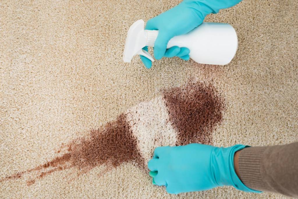 Топ-7 лучших средств для чистки ковров: какой выбрать, плюсы и минусы, отзывы