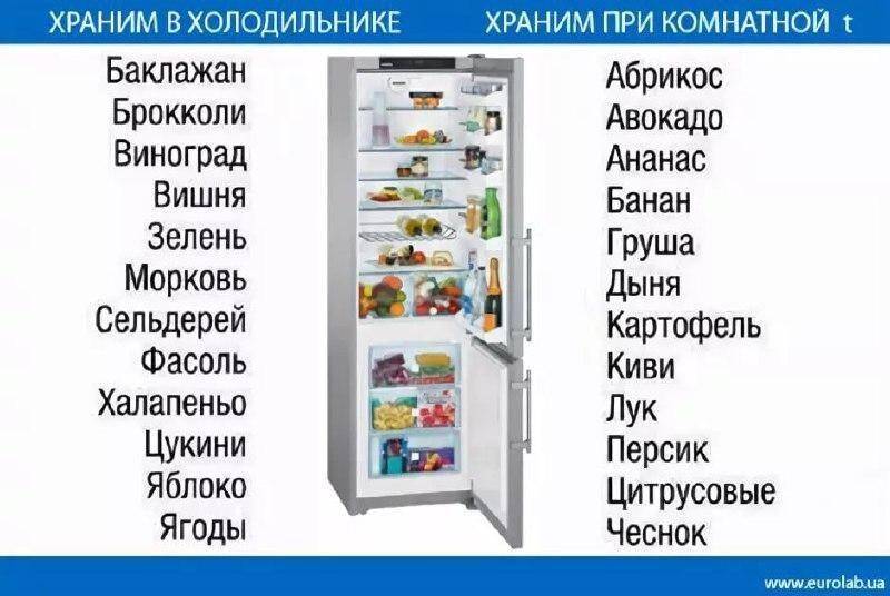 Какие продукты должны быть в холодильнике обязательный минимальный набор