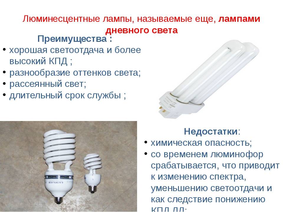 Энергосберегающие лампы: основные характеристики и разновидности